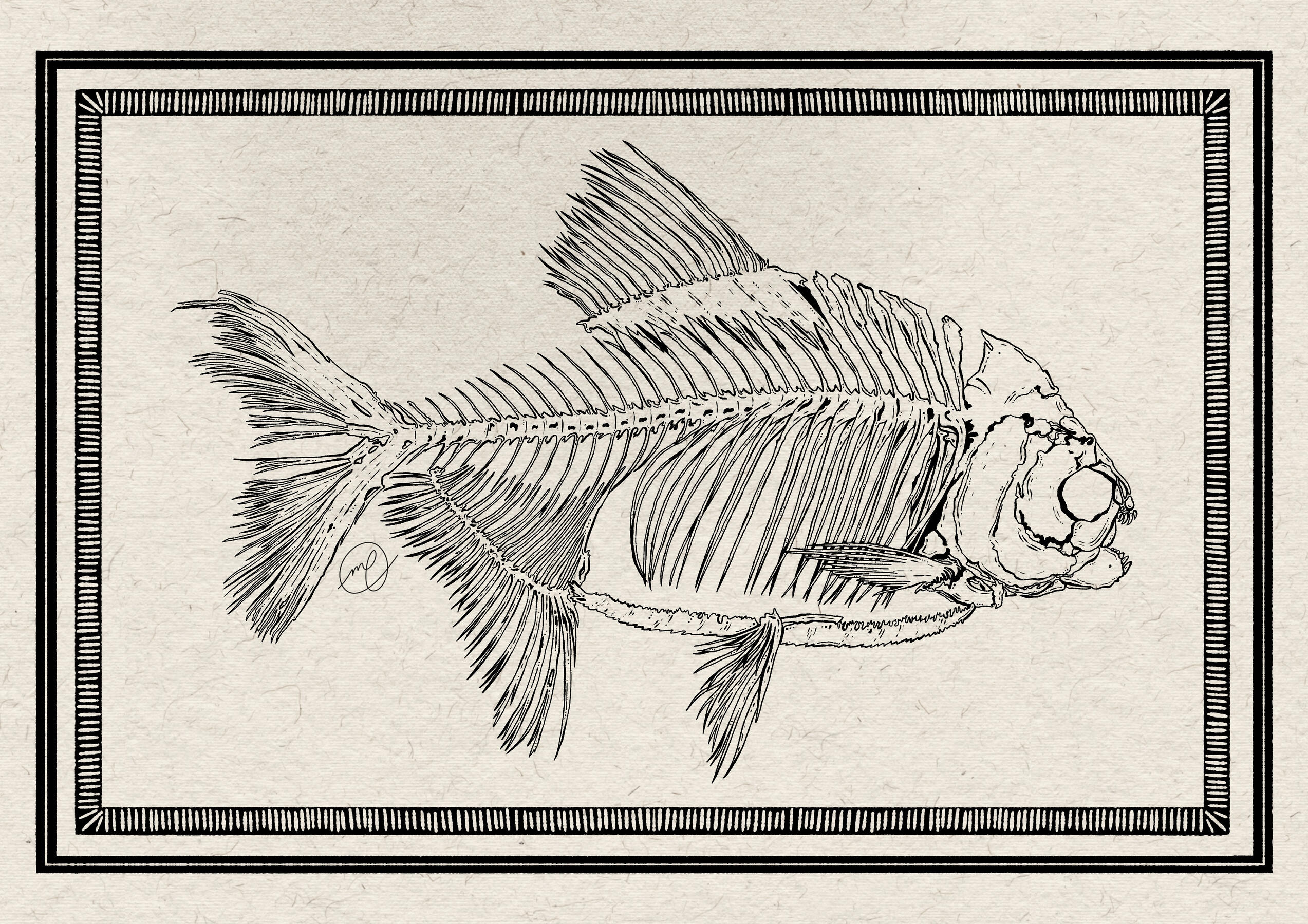 "Pacu Fish", 2025 digital 11.69 x 8.27"