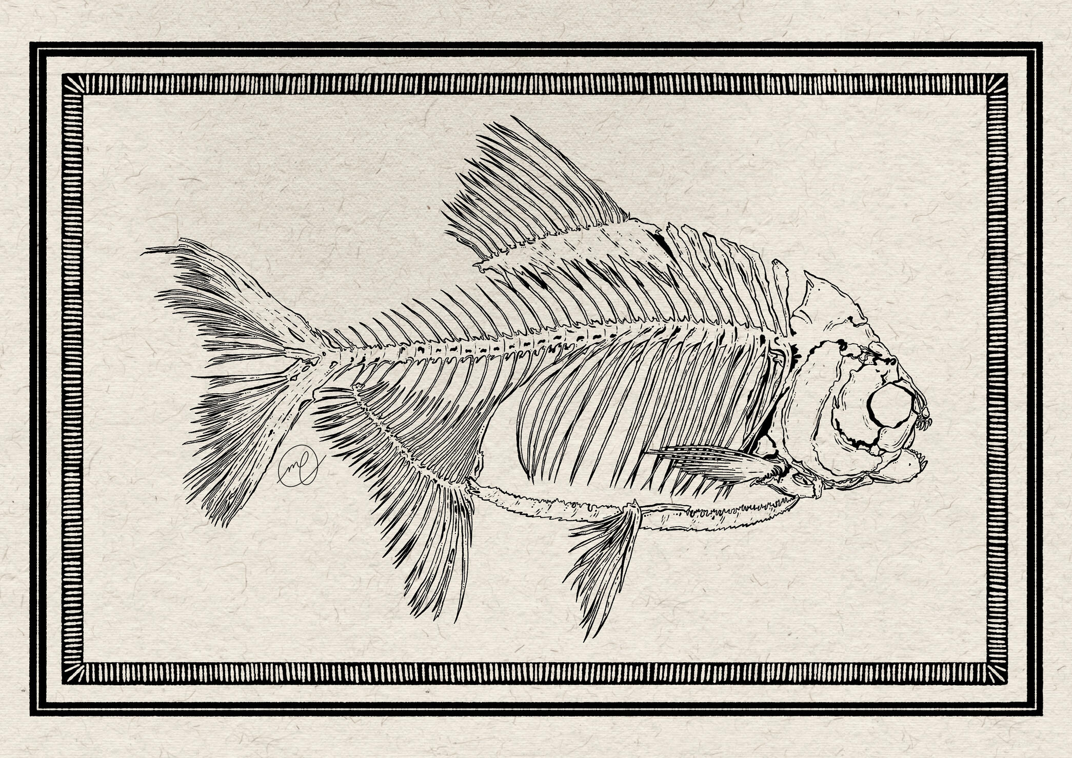 "Pacu Fish", 2025 digital 11.69 x 8.27"