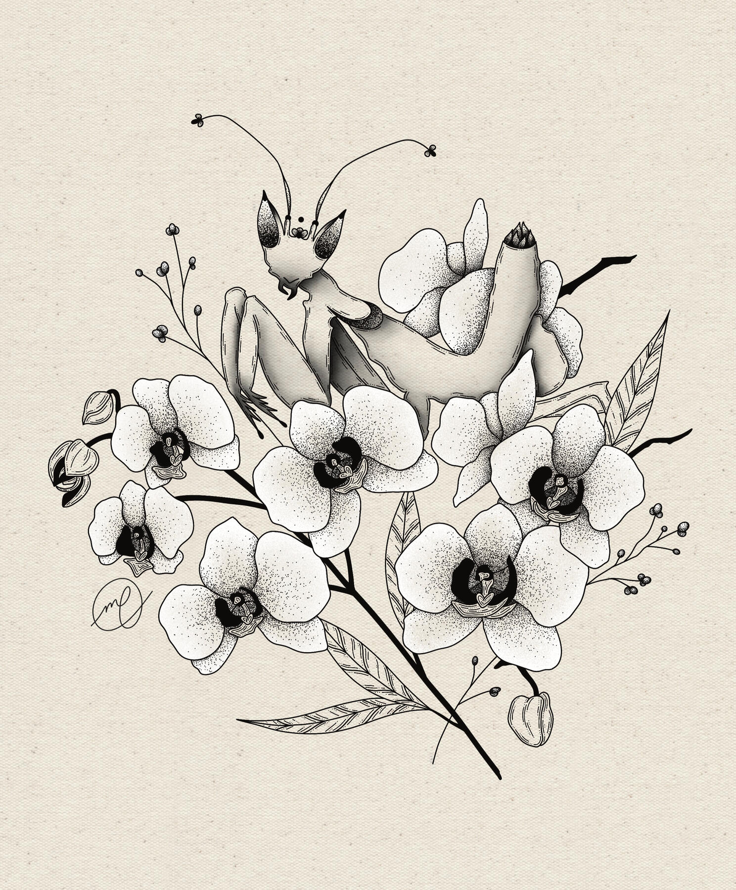 "Orchid Mantis", 2023 digital 8 x 10"