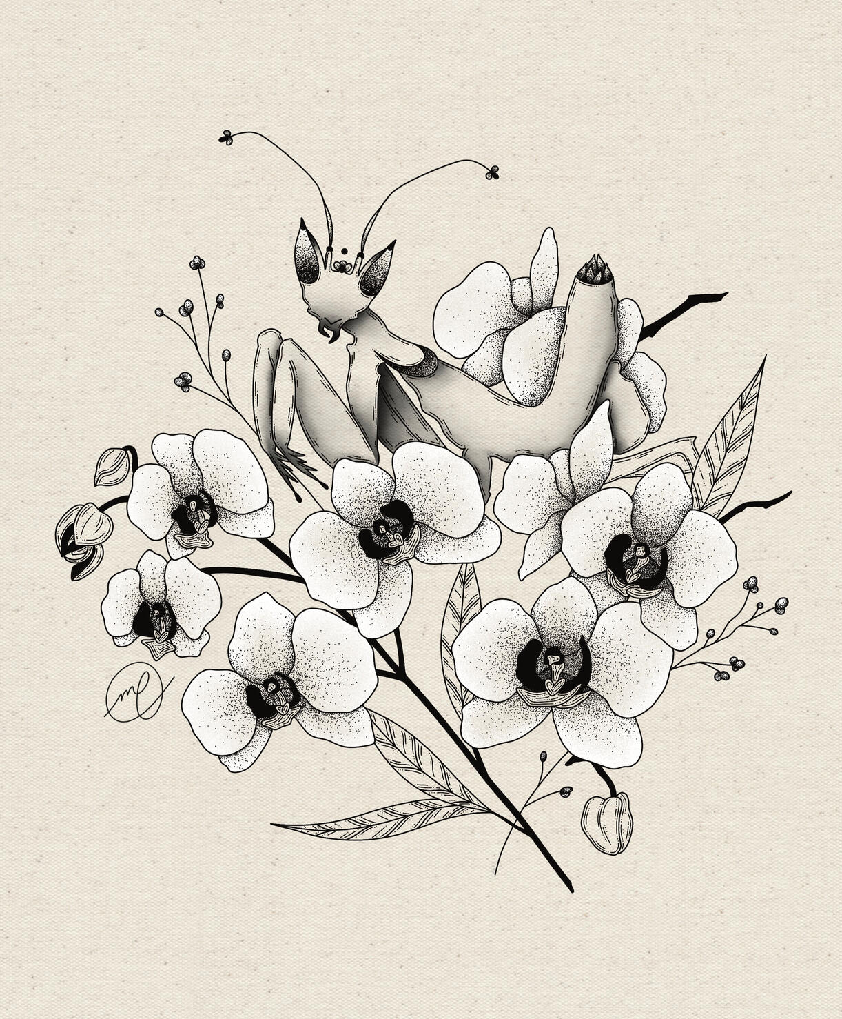 "Orchid Mantis", 2023 digital 8 x 10"