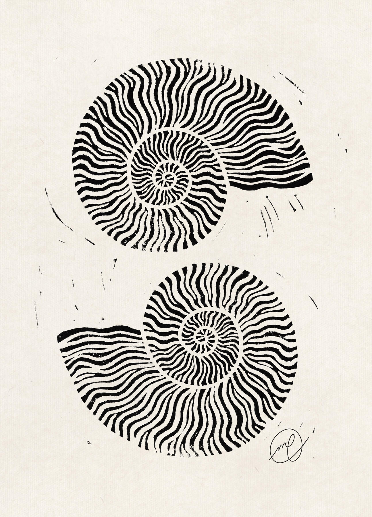 "Planispiral", 2024 hand-carved linoleum block print INSERT DIMENSIONS