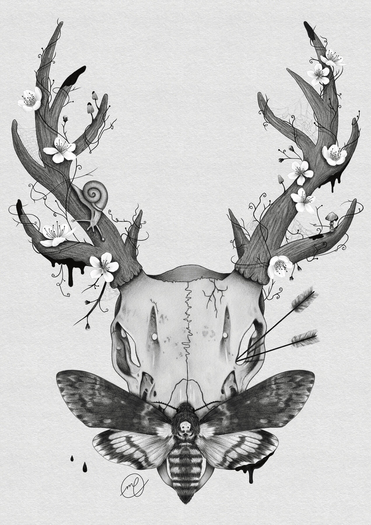 "Shrike", 2024 graphite on paper, digital 8.27 x 11.69"