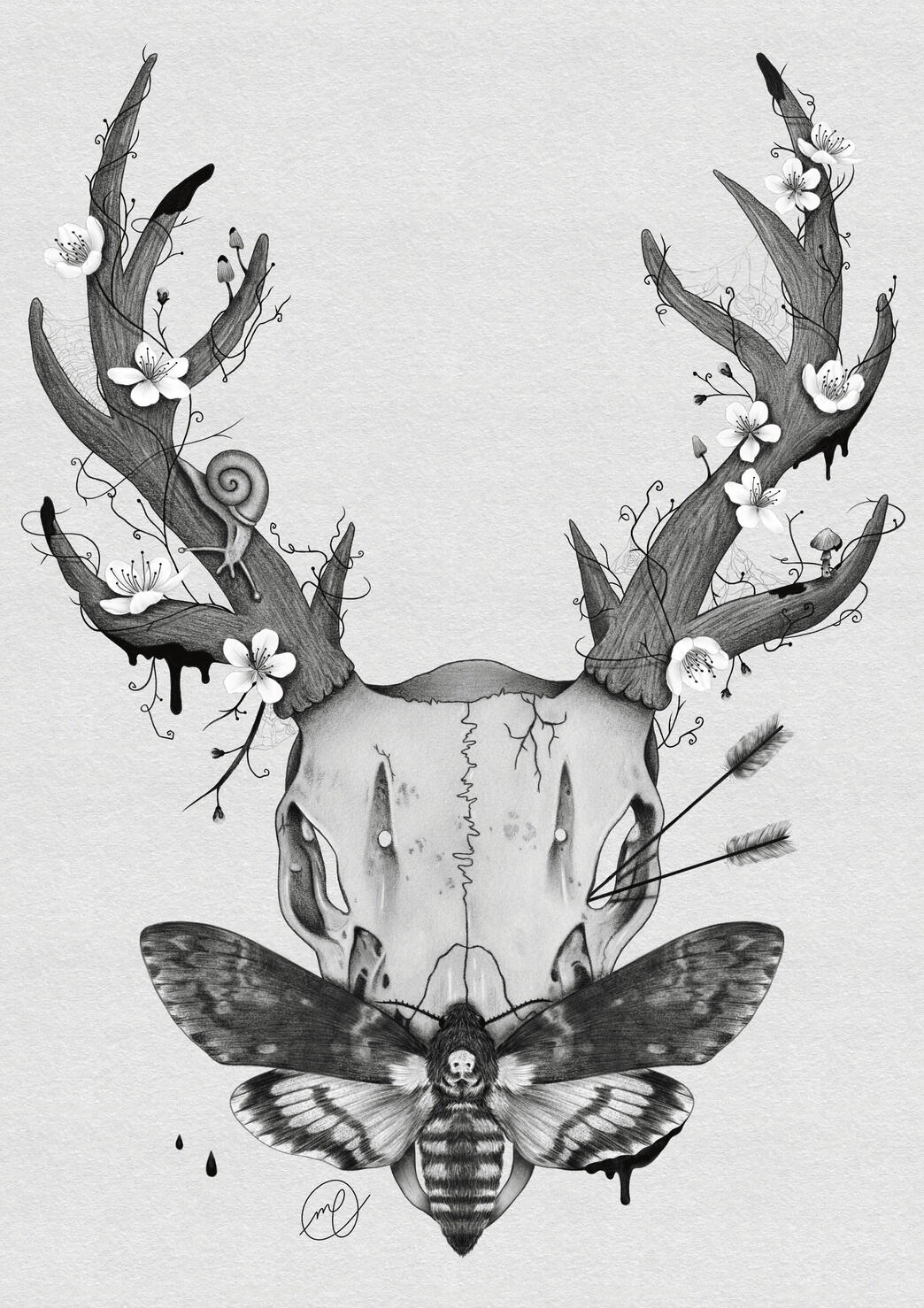 "Shrike", 2024 graphite on paper, digital 8.27 x 11.69"